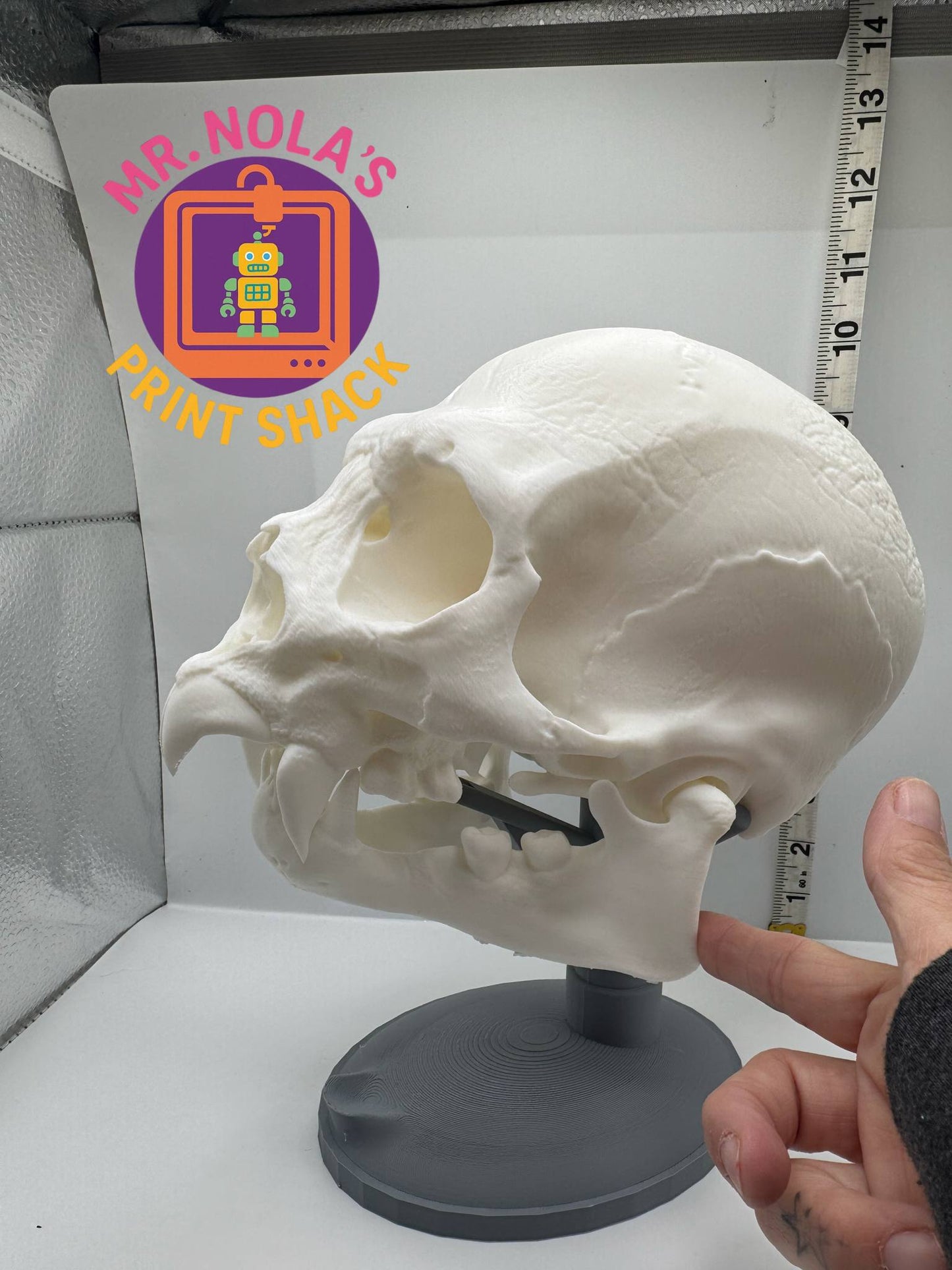 Print Shack 3D Printed Almost Real but Not Really Vampire Skull