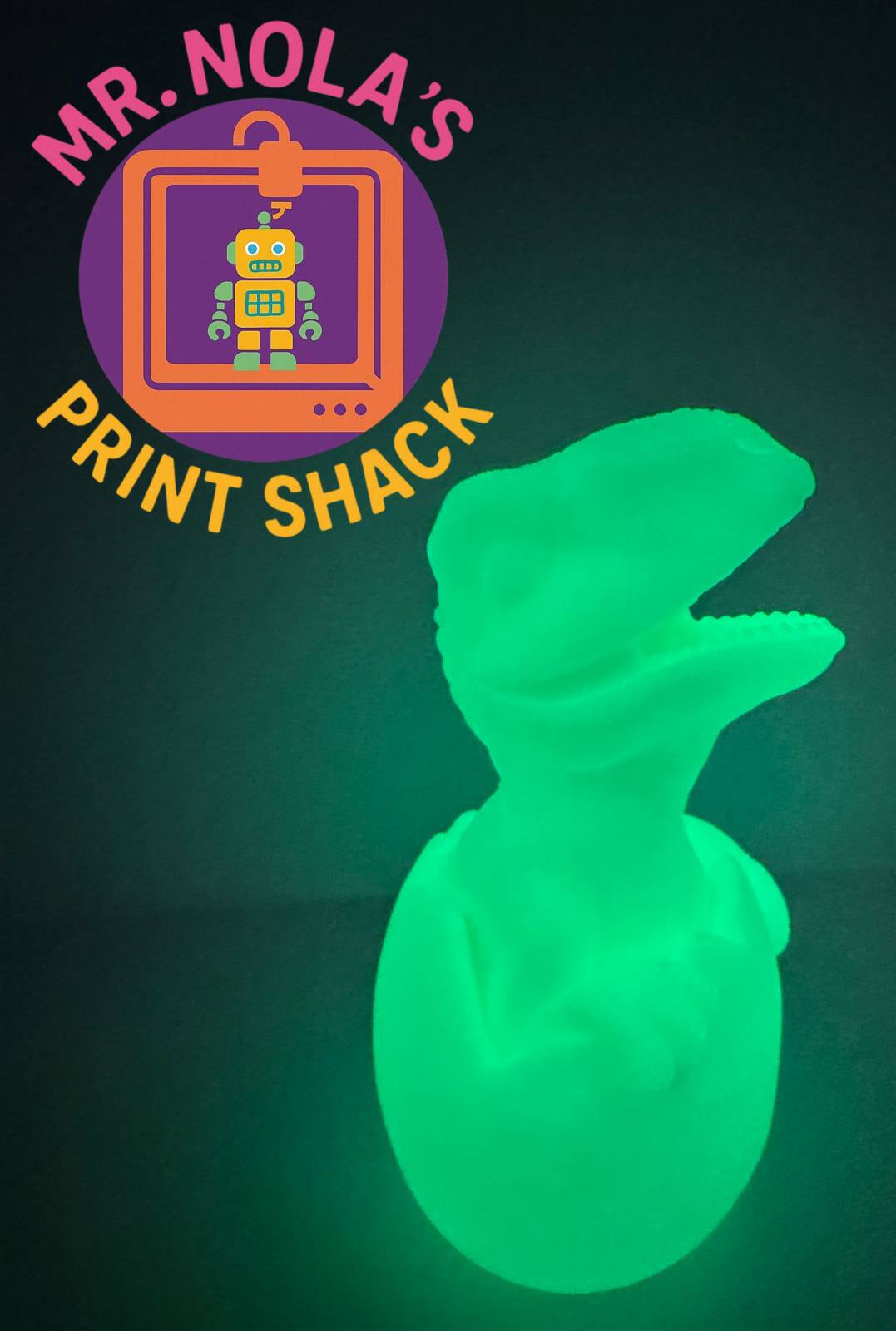Print Shack 3D Printed Glow in the Dark Dino Egg