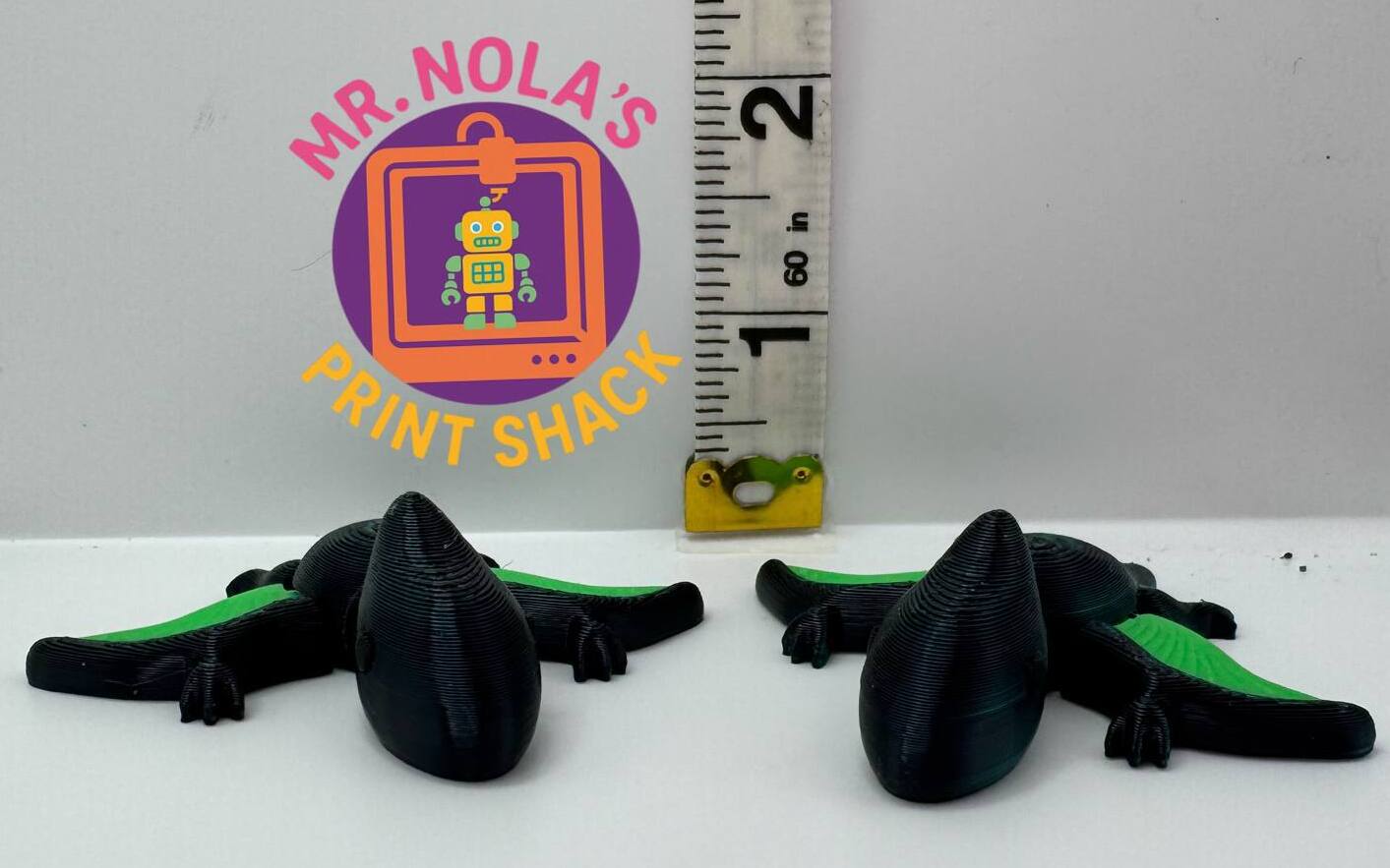 Print Shack 3D Printed Terry Dactyl Pocket Flyer