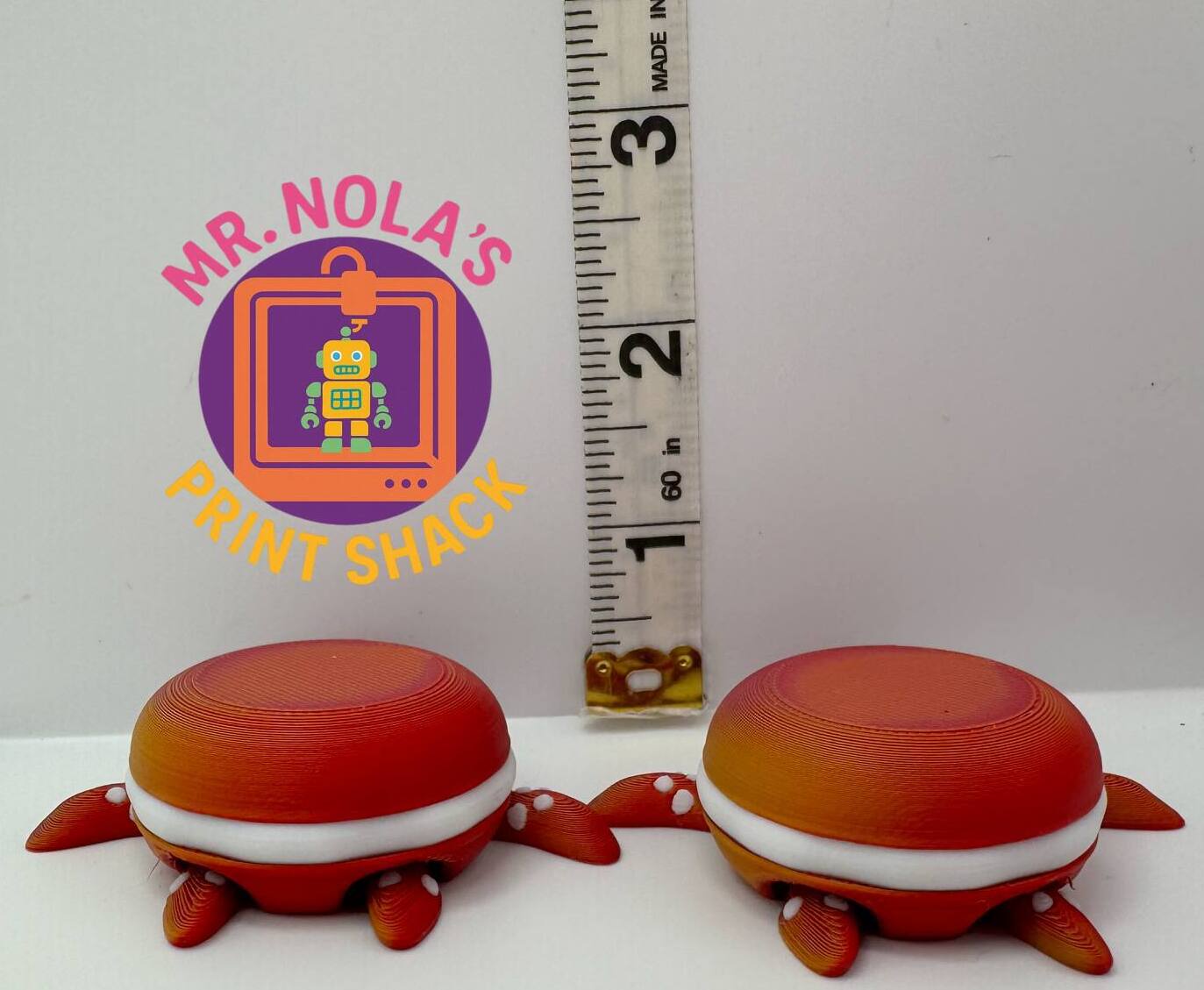 Print Shack  3D Printed Taffy the Turtle