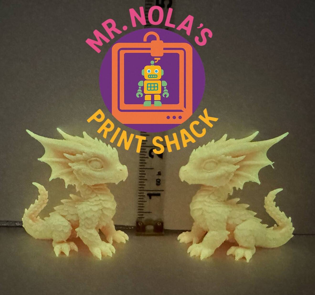 Print Shack  3D Printed Lucky Glowlings