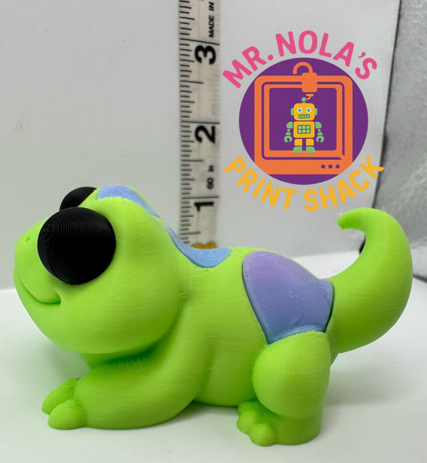 Print Shack  3D Printed Kiwi The Gecko