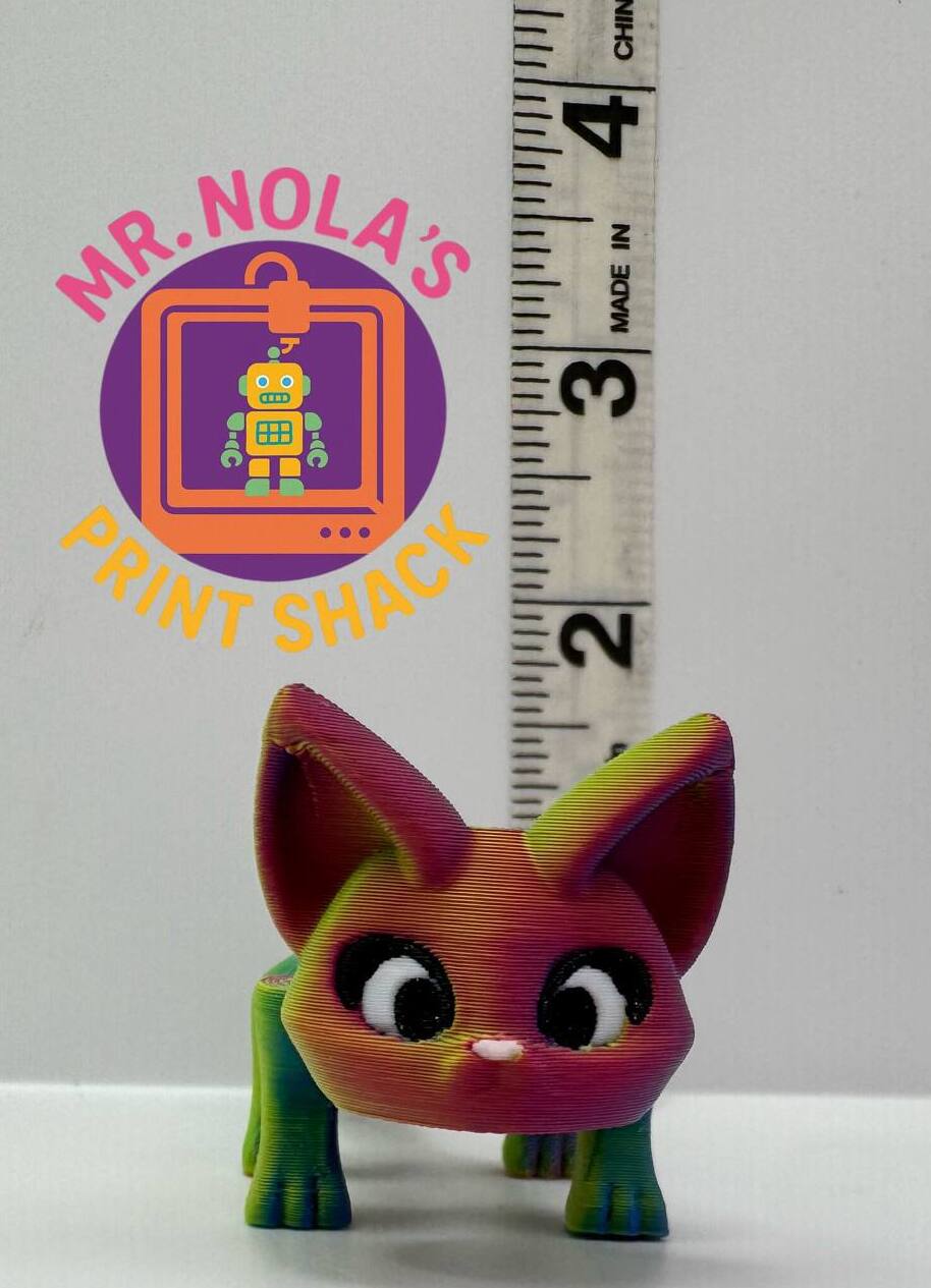 Print Shack  3D Printed Space Kitty