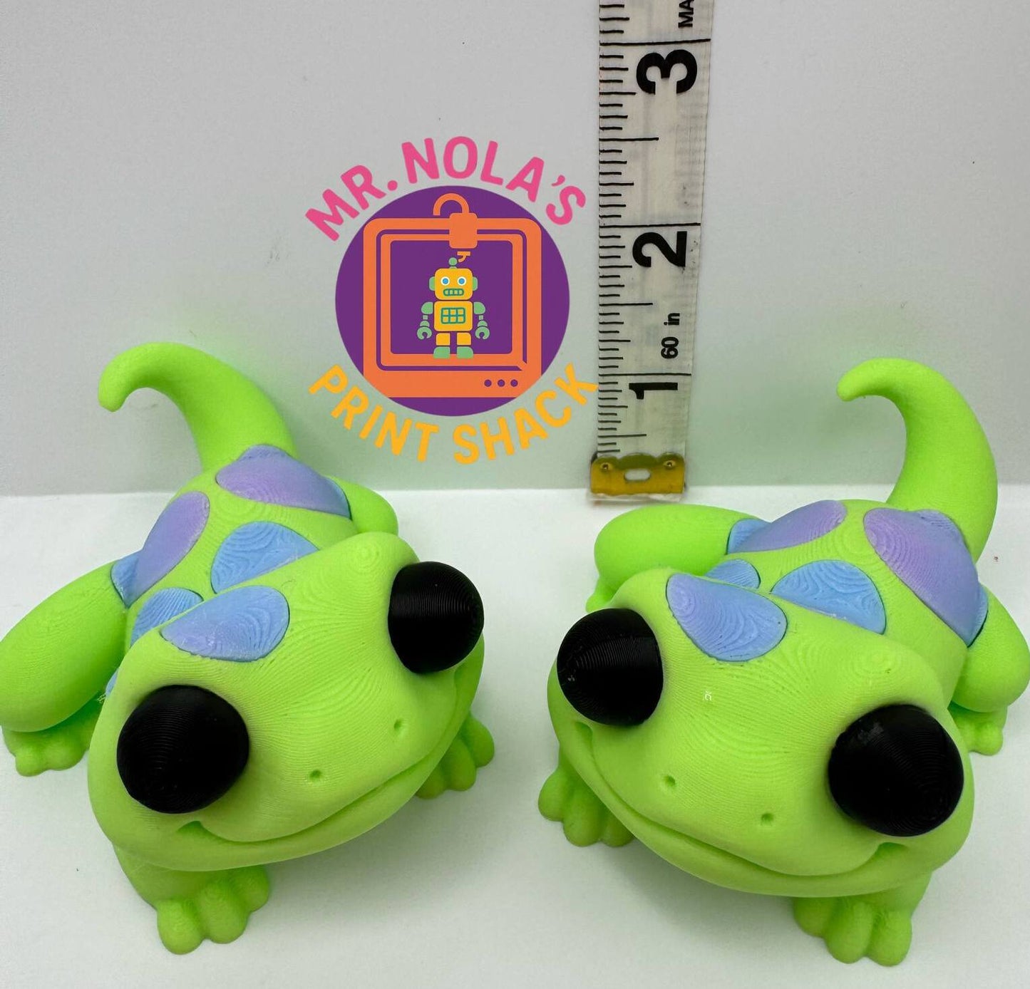 Print Shack  3D Printed Kiwi The Gecko