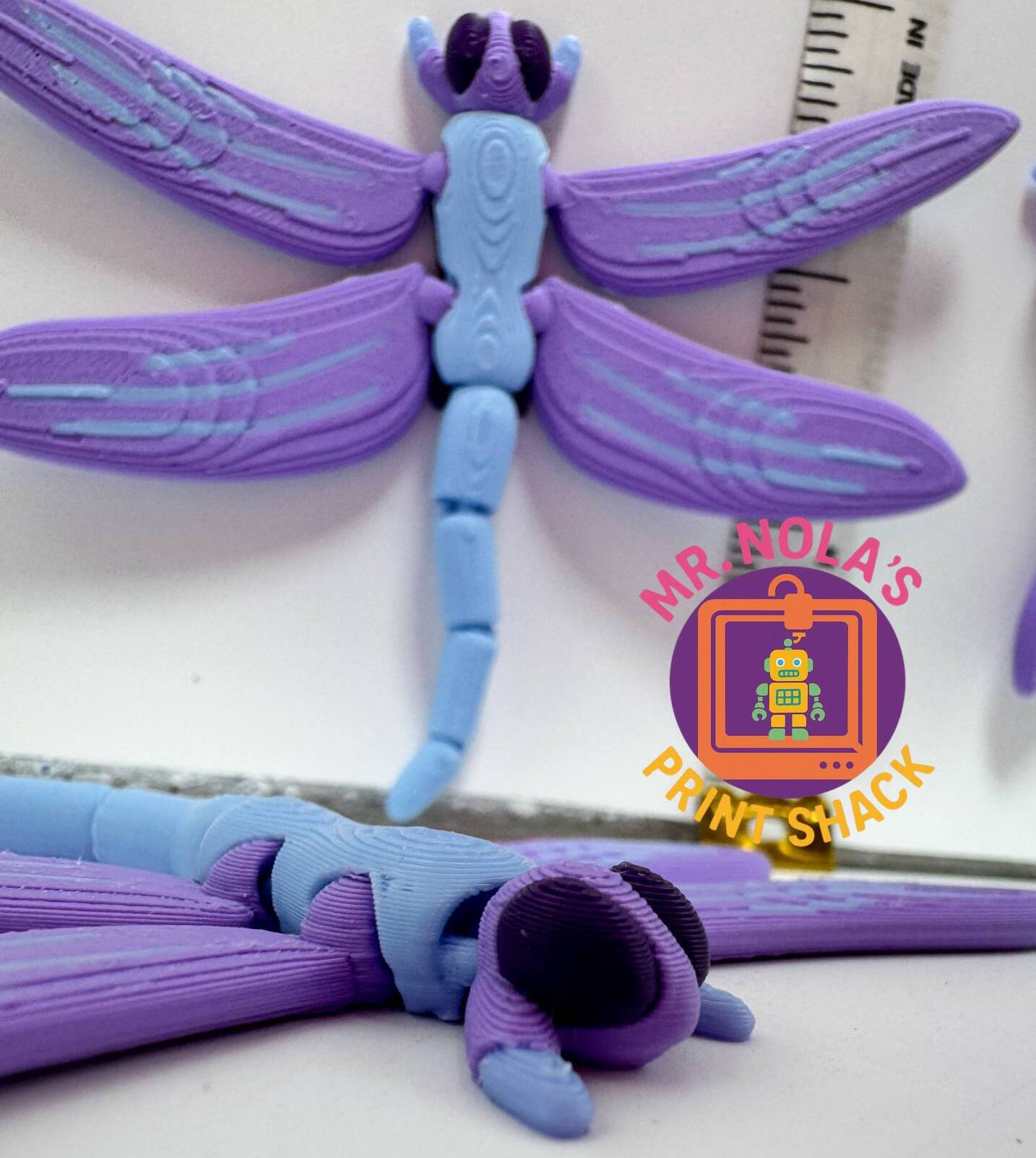Print Shack  3D Printed Dazzlewing The Dragonfly