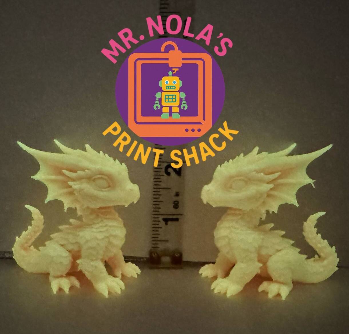 Print Shack  3D Printed Lucky Glowlings