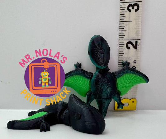 Print Shack  3D Printed Terry Dactyl Pocket Flyer