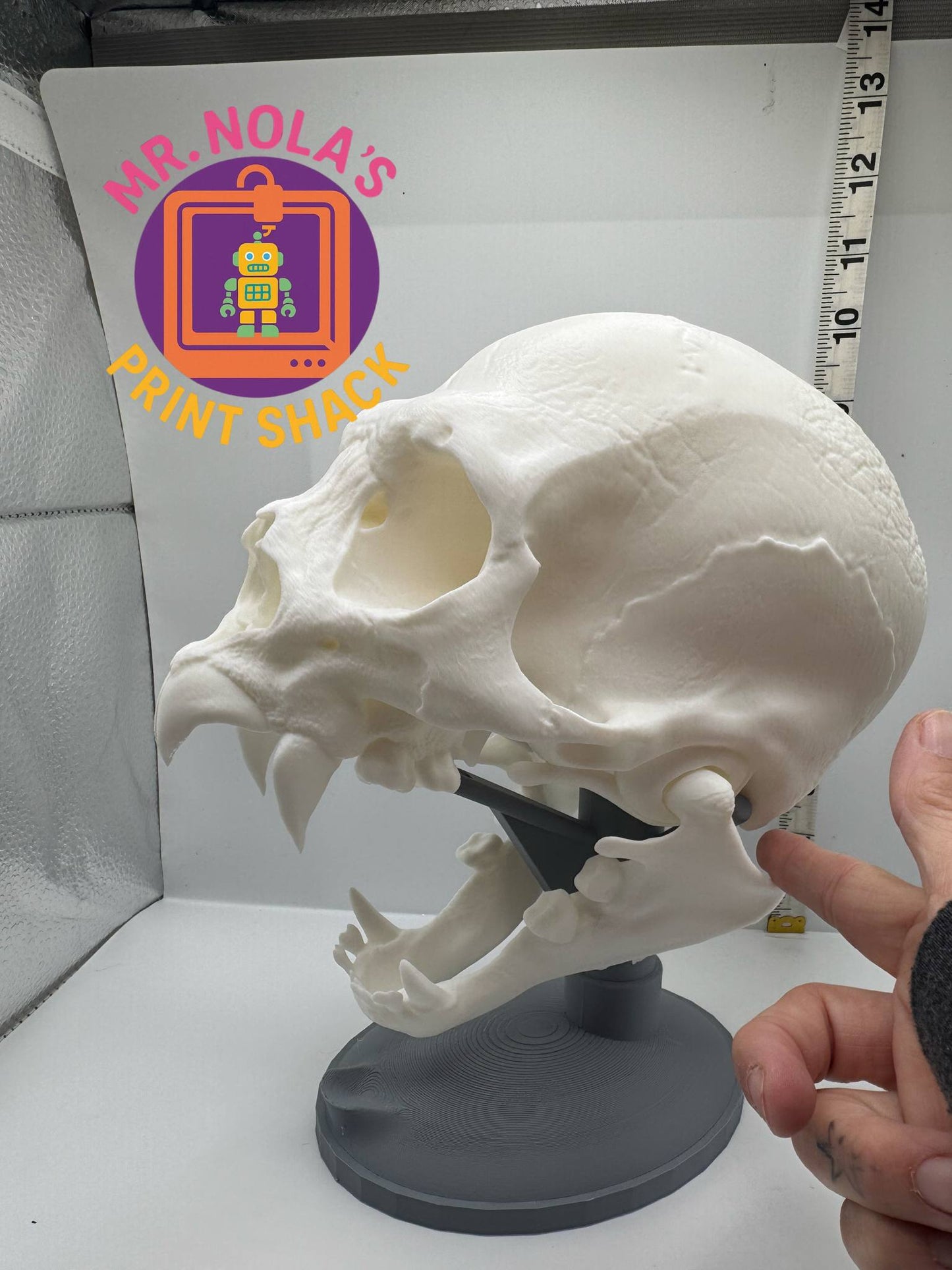 Print Shack  3D Printed Almost Real but Not Really Vampire Skull