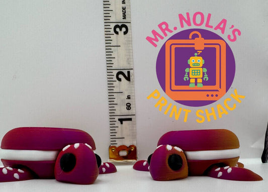 Print Shack  3D Printed Taffy the Turtle