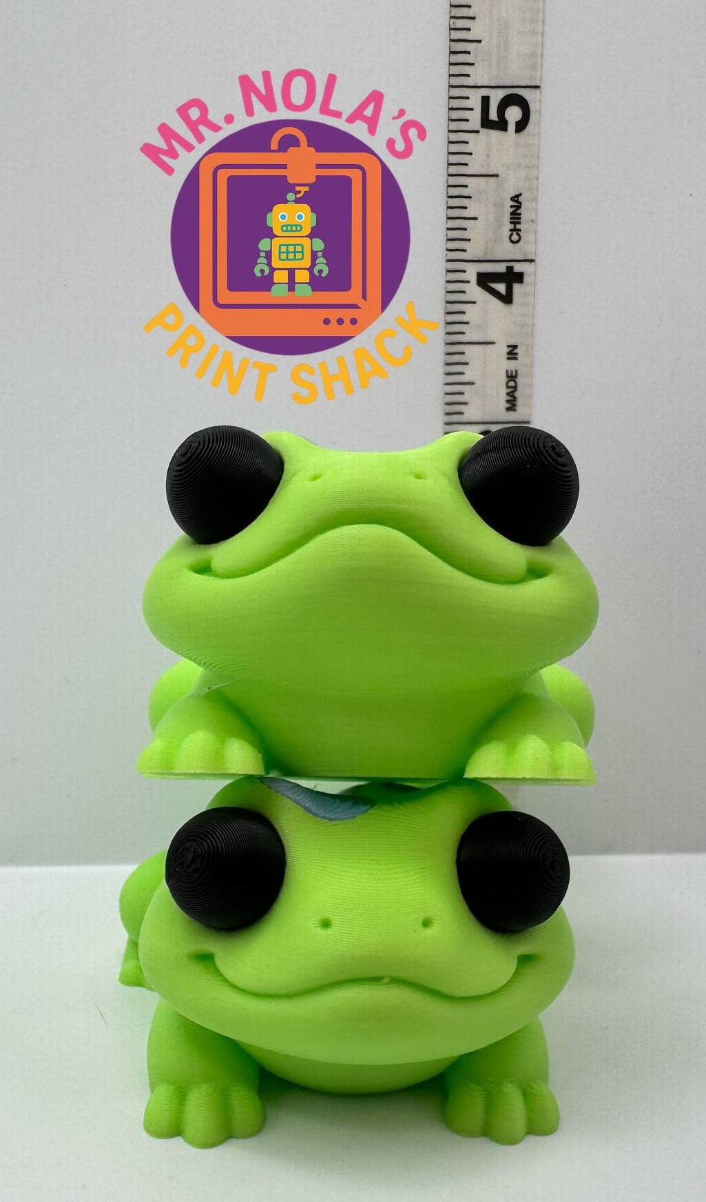 Print Shack  3D Printed Kiwi The Gecko