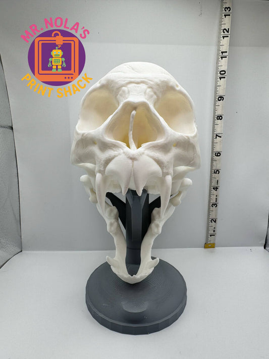 Print Shack  3D Printed Almost Real but Not Really Vampire Skull