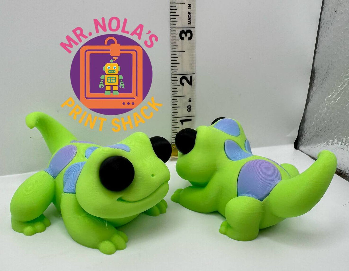 Print Shack  3D Printed Kiwi The Gecko