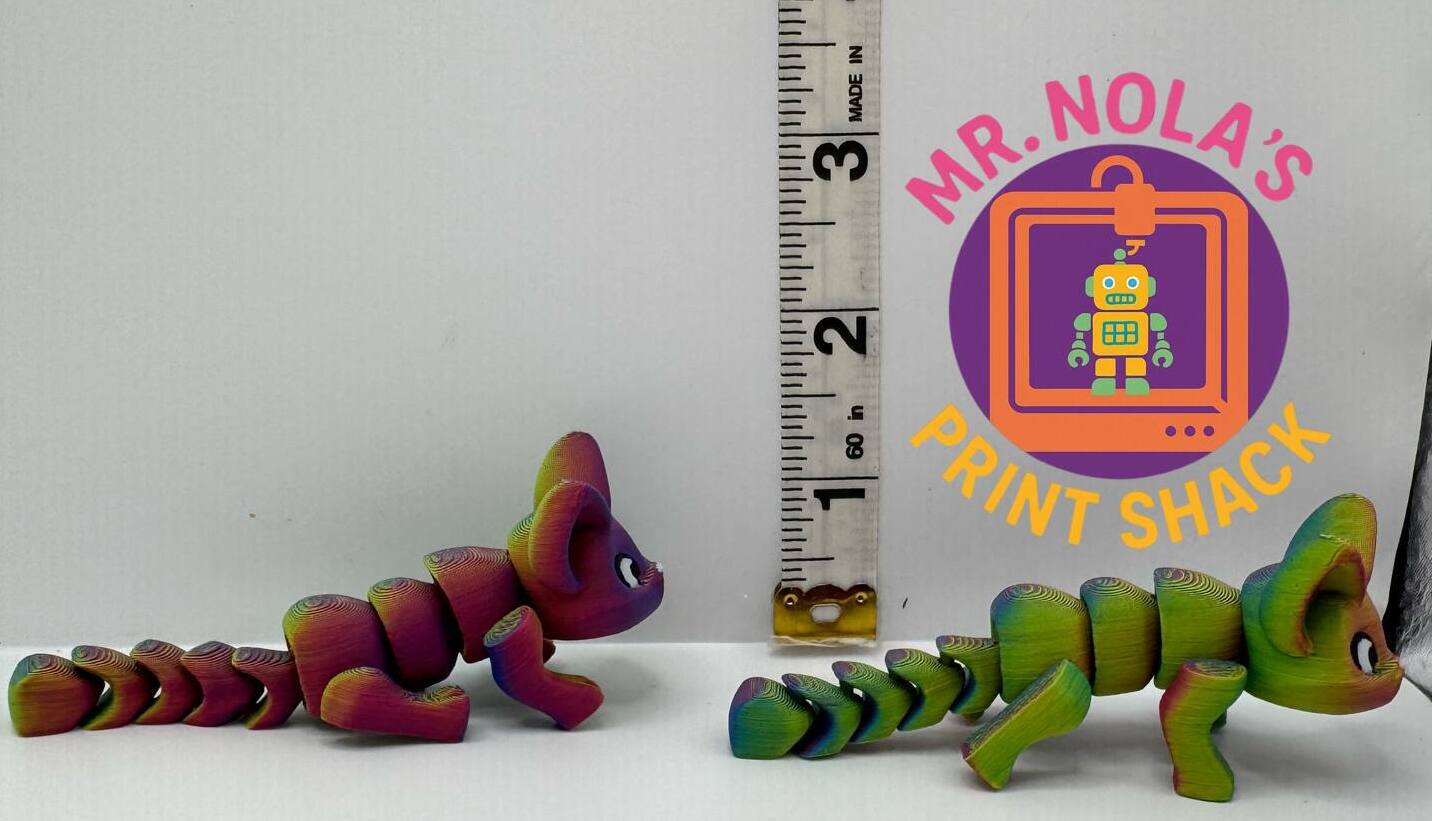 Print Shack  3D Printed Space Kitty