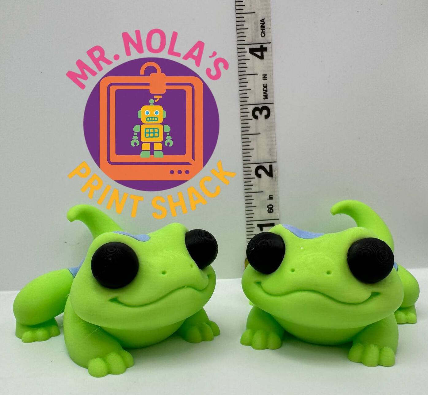 Print Shack  3D Printed Kiwi The Gecko