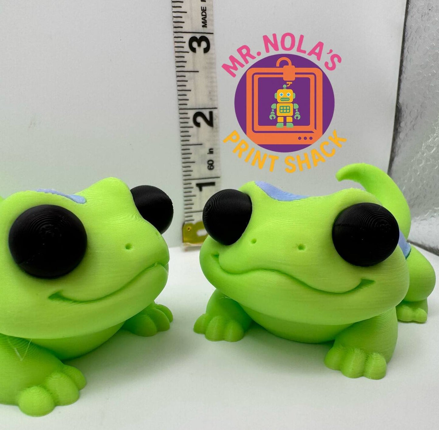 Print Shack  3D Printed Kiwi The Gecko