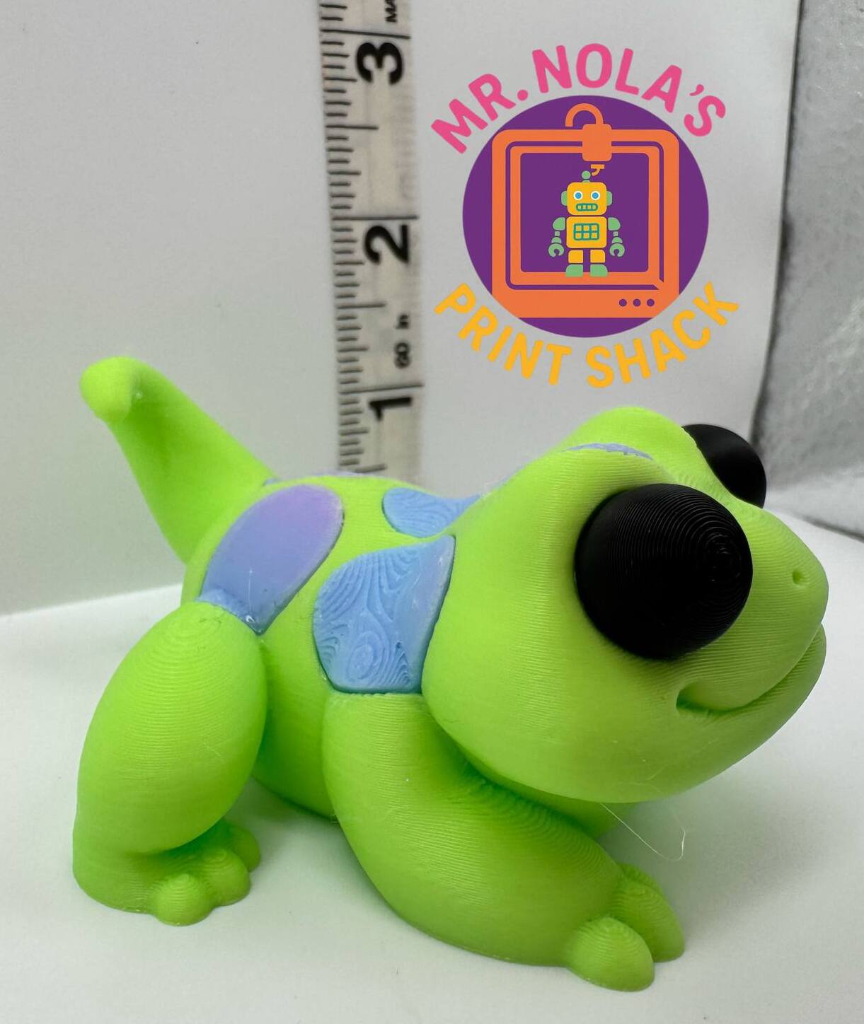 Print Shack  3D Printed Kiwi The Gecko